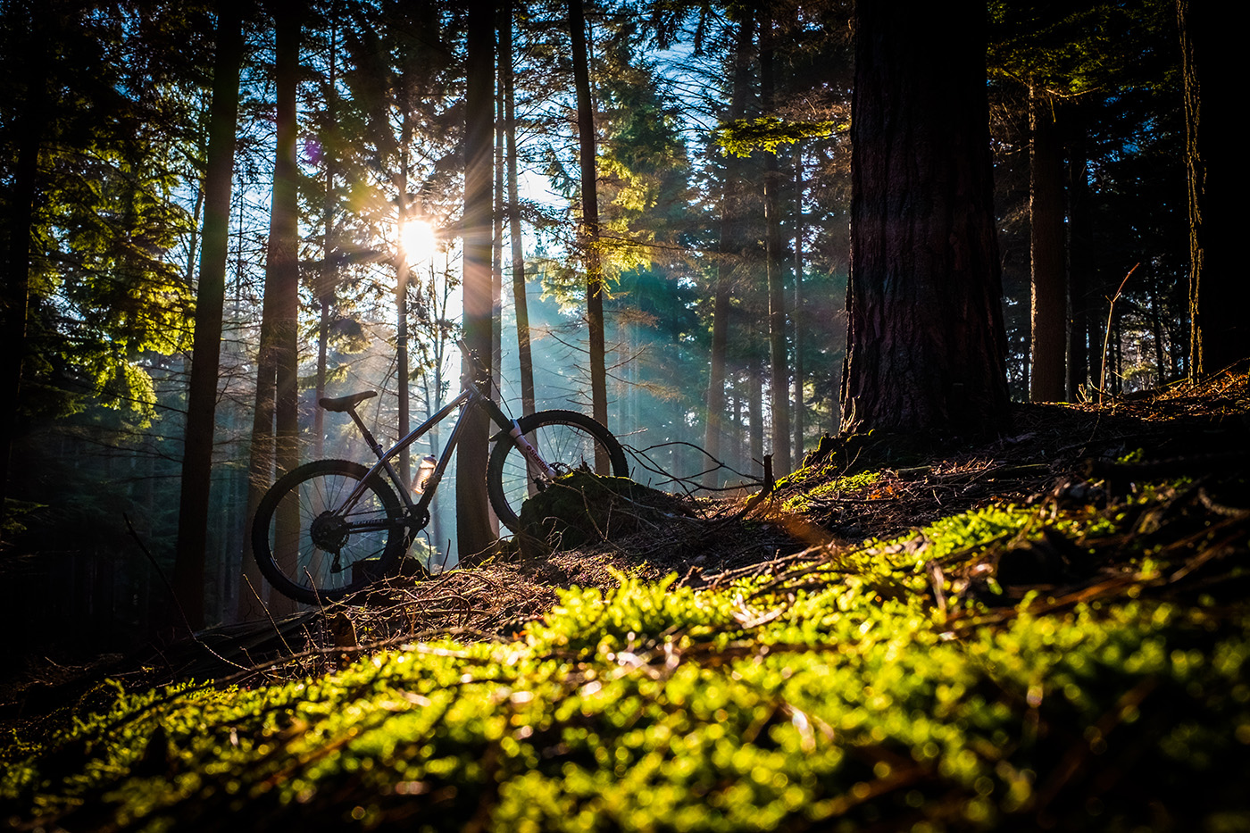 Mountain bike in dramatic beams of sunlight in bright green fore